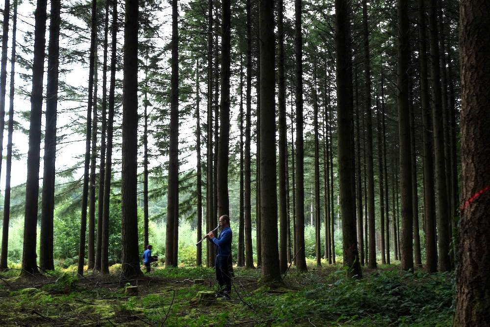 DSCF5657%20-%20LOW DSCF5657%20-%20LOW